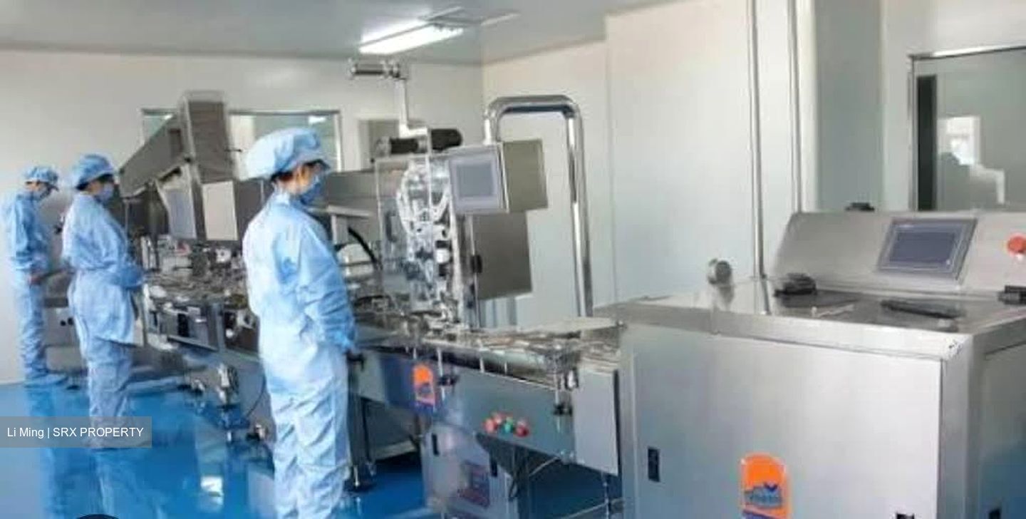 Ka Foodlink (D13), Factory #567997991